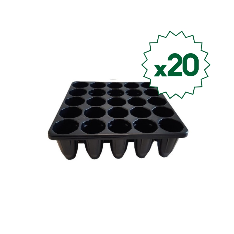 Almaciguera Forestal - 25 Celdas x 20 Unid. | Agrourbano