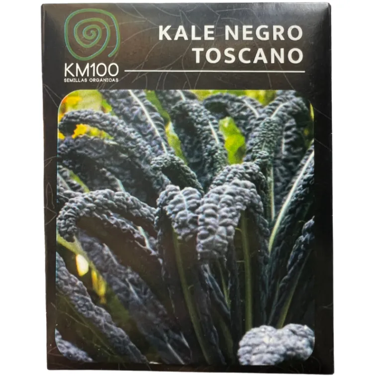 kale negro