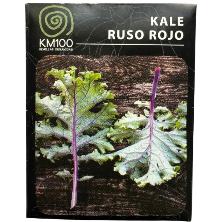 semillas kale ruso rojo
