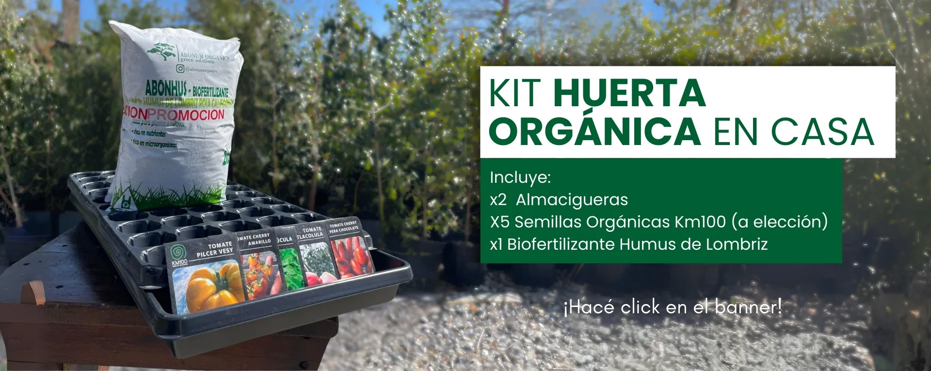 huerta organica kit